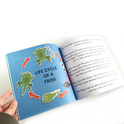 Healthy Eating Kids Book - King Frog and the Peckish Picnic