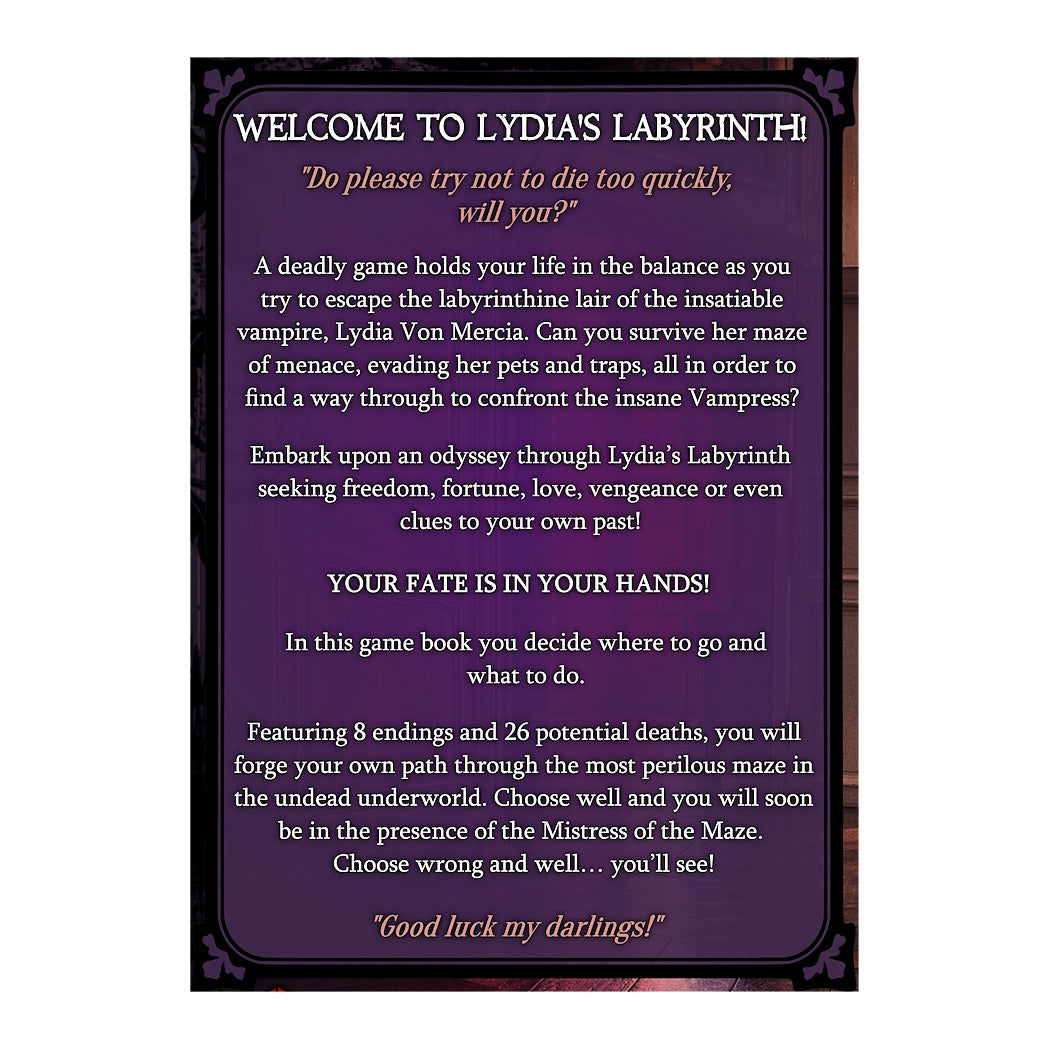 Lydia's Labyrinth Game Book - Choose Your Fate